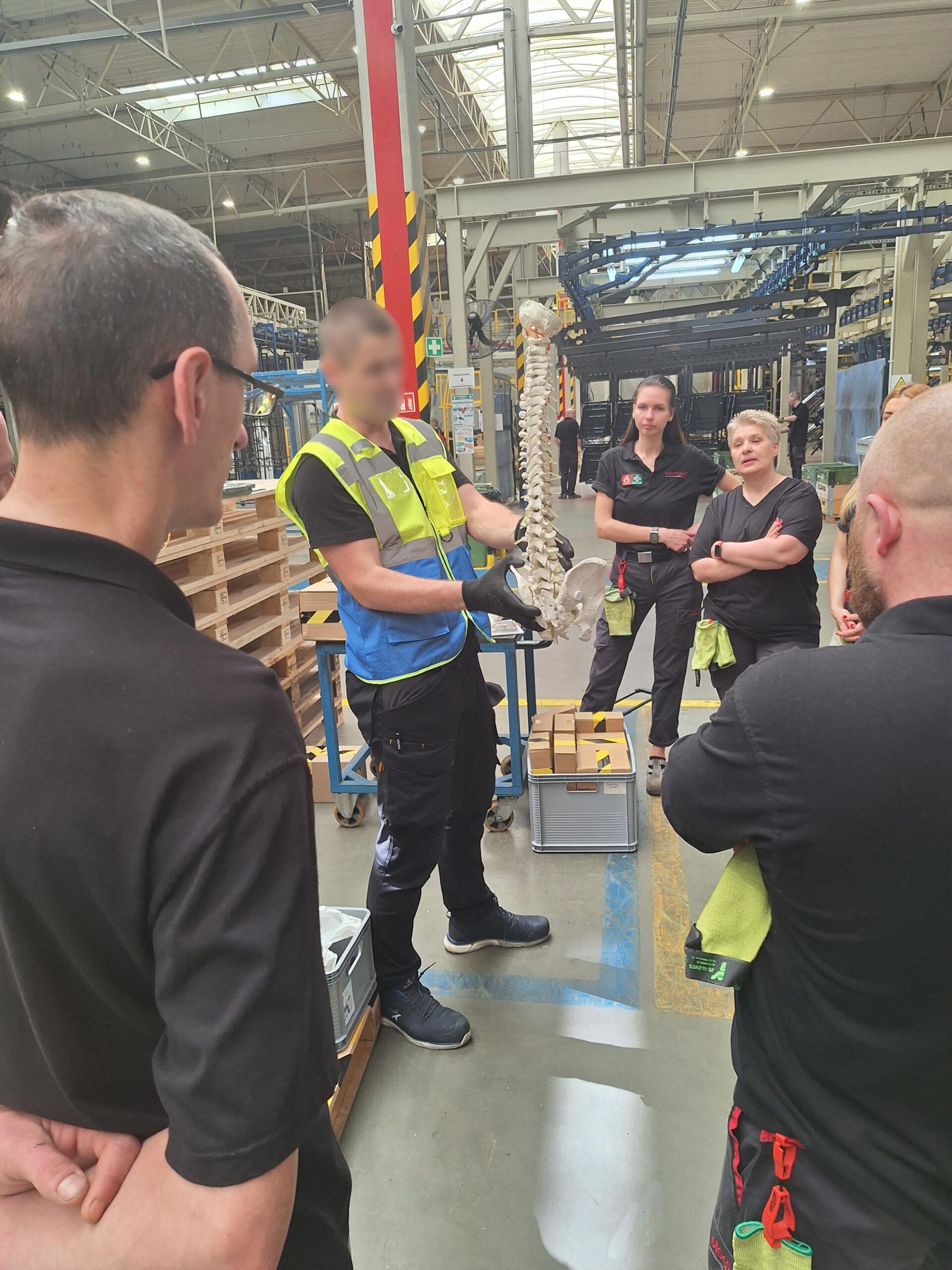 Electropoli health and safety trainer using a spinal model to demonstrate proper ergonomics and back protection techniques